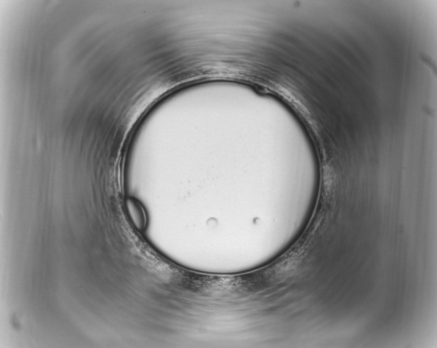 X0000099400891200805291208