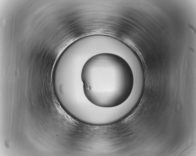 X0000099400892200805291208