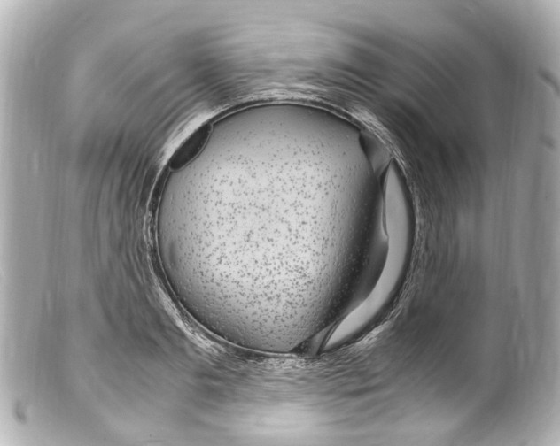 X0000099400893200805291208