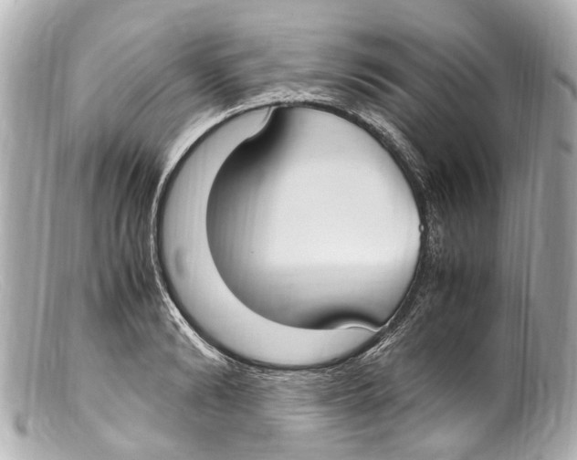 X0000099400894200805291208