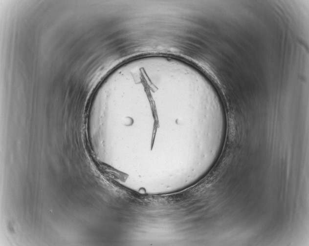 X0000099400895200805291208