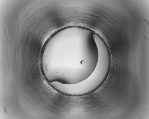 X0000099400896200805291208