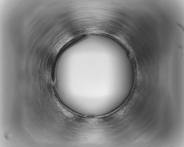 X0000099400897200805291208