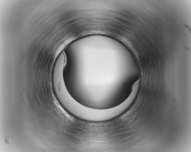 X0000099400898200805291208