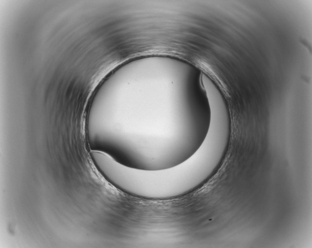 X0000099400900200805291208