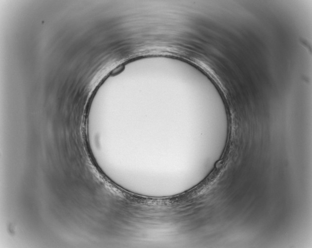 X0000099400901200805291208