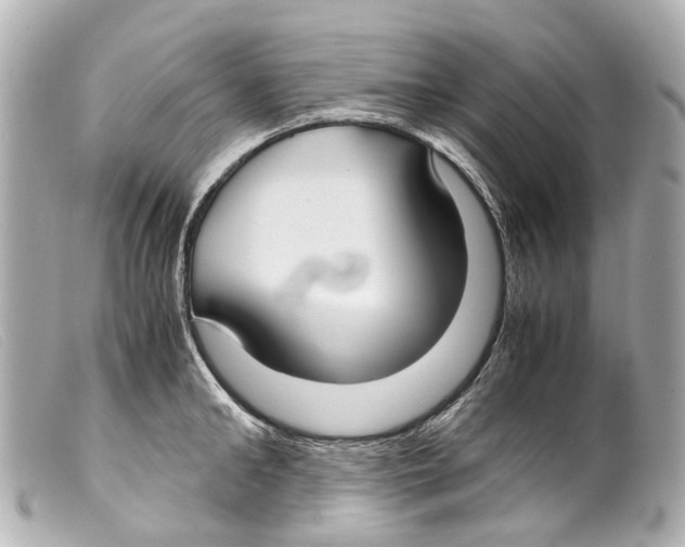 X0000099400902200805291208