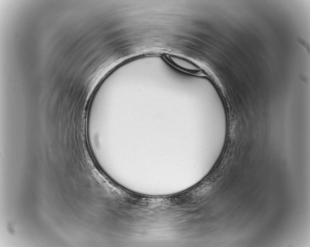 X0000099400903200805291207