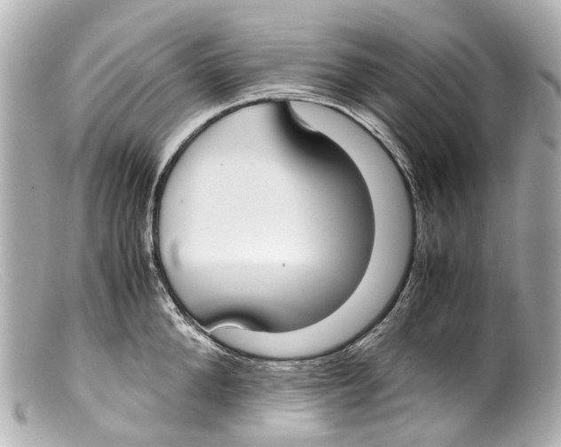 X0000099400904200805291207