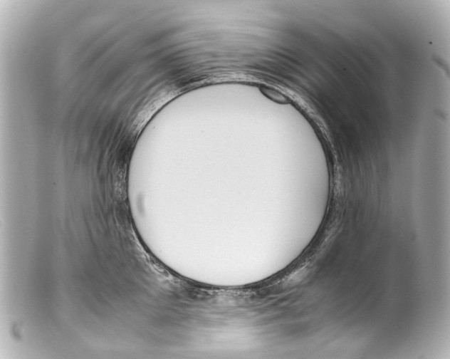 X0000099400905200805291207