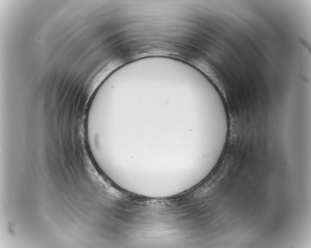 X0000099400906200805291207