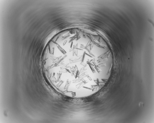 X0000099400907200805291207