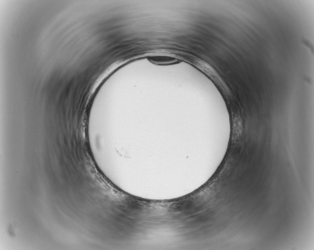 X0000099400908200805291207