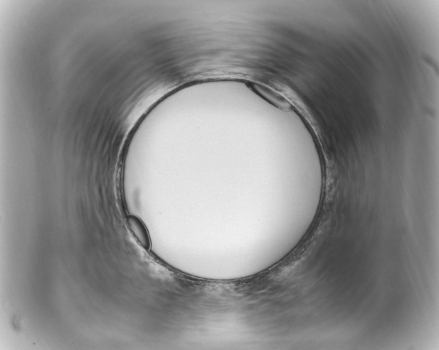 X0000099400909200805291207