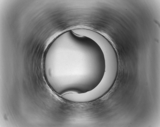 X0000099400910200805291207