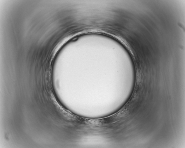 X0000099400911200805291207