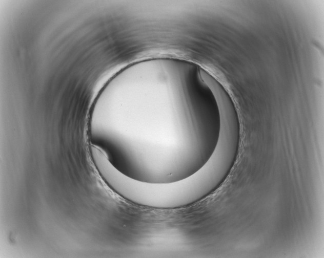 X0000099400912200805291207