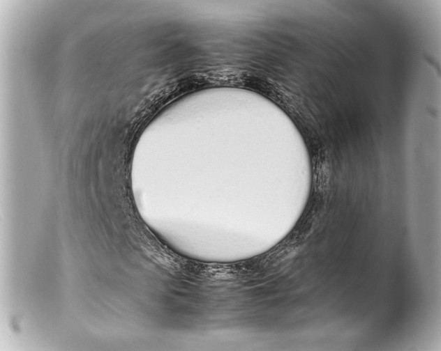 X0000099400913200805291207