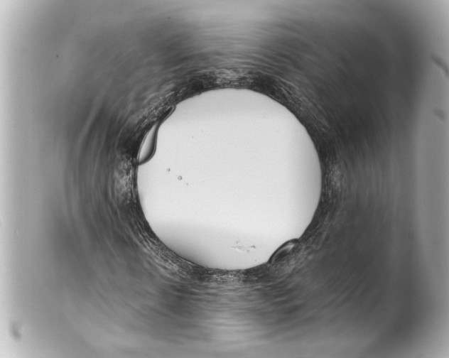 X0000099400914200805291207