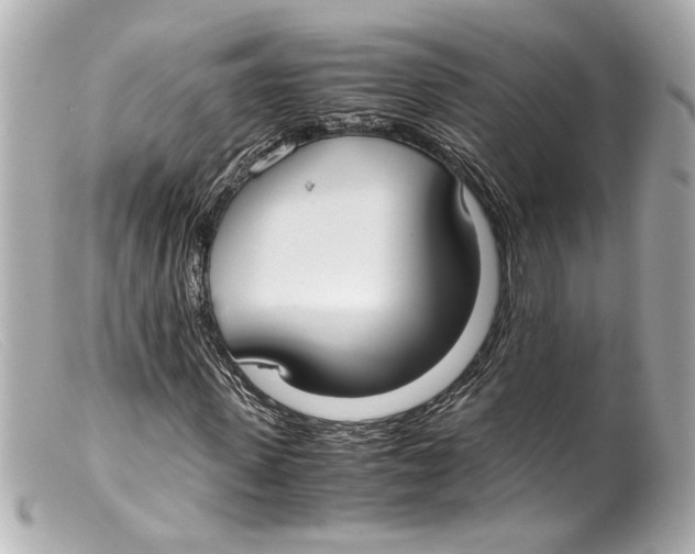 X0000099400915200805291207