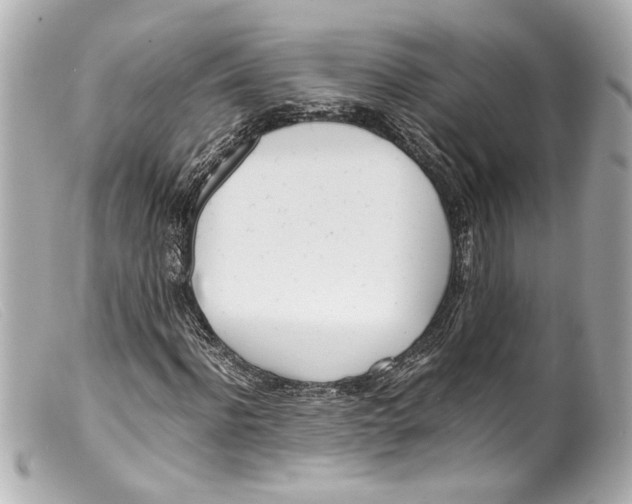 X0000099400916200805291207