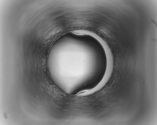 X0000099400917200805291207