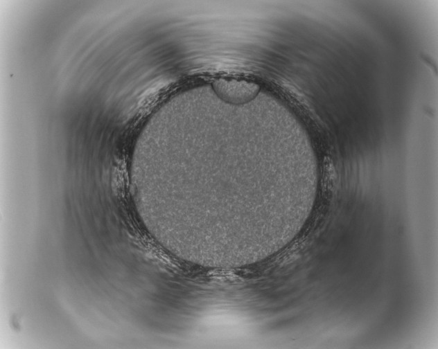 X0000099400918200805291207