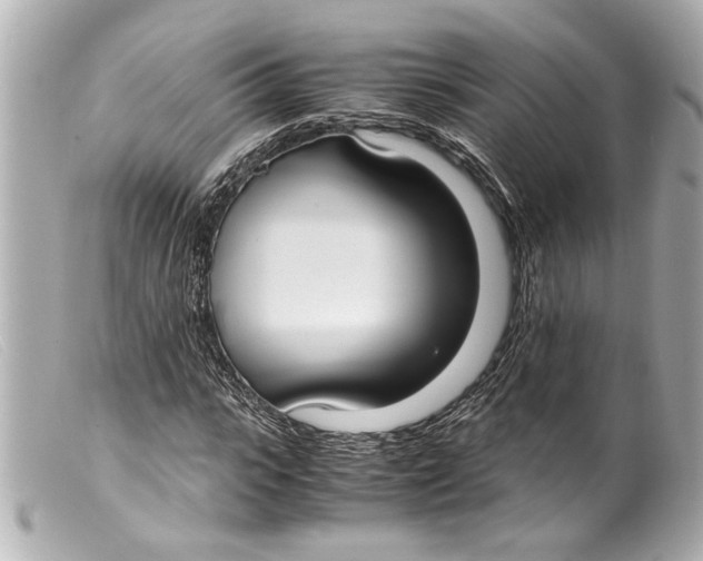 X0000099400919200805291207