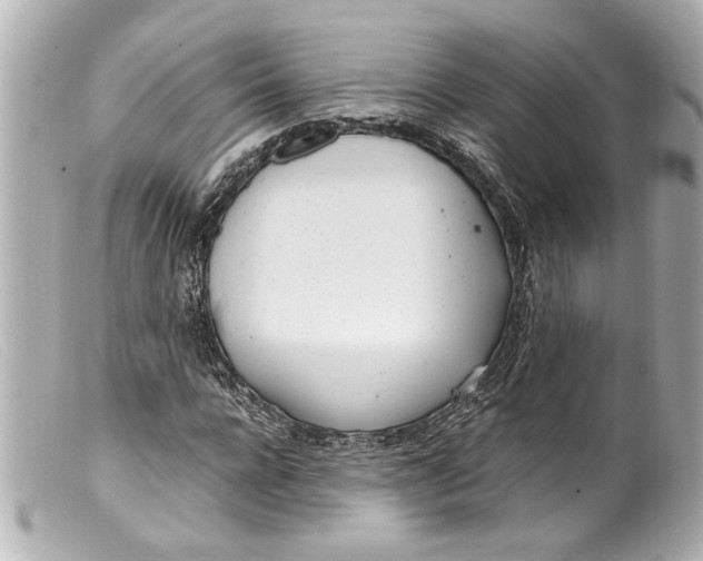 X0000099400920200805291207