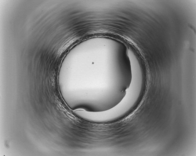 X0000099400921200805291207