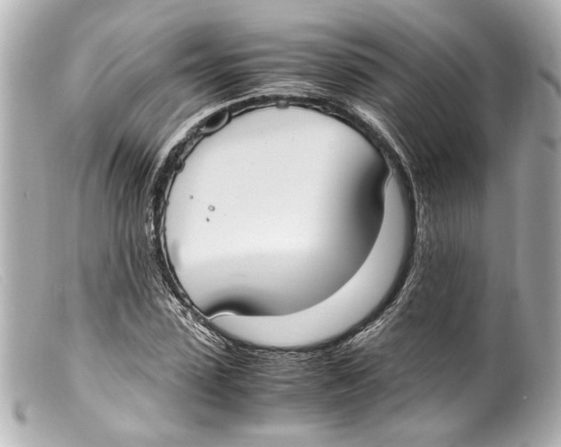 X0000099400923200805291207