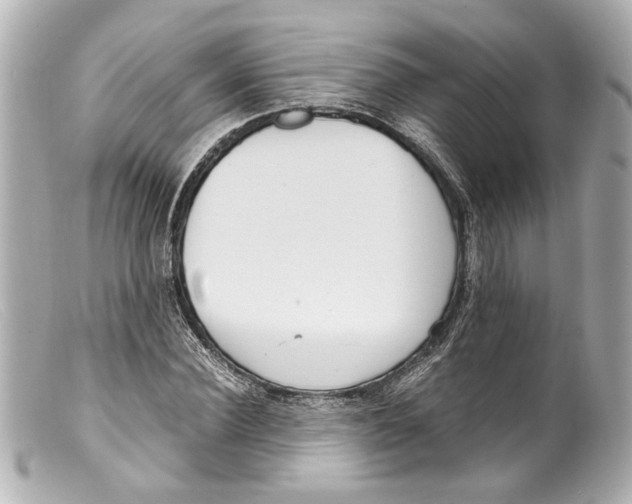 X0000099400924200805291207