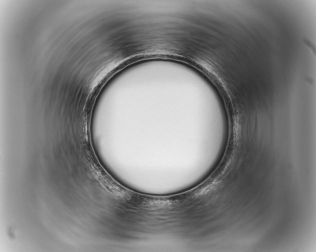 X0000099400925200805291207