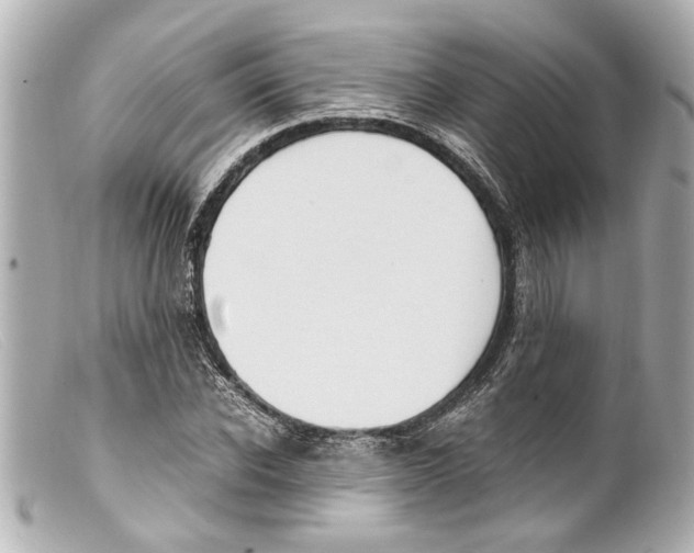 X0000099400926200805291207