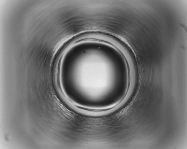 X0000099400927200805291207