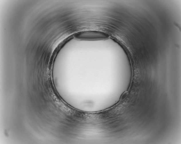 X0000099400928200805291207