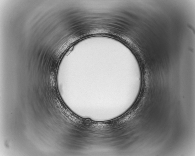 X0000099400929200805291207