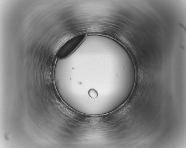 X0000099400930200805291207