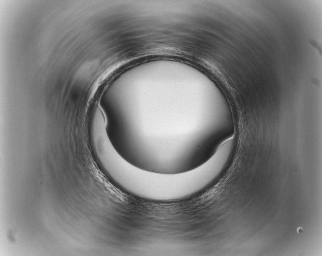 X0000099400931200805291207