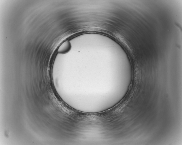 X0000099400932200805291207