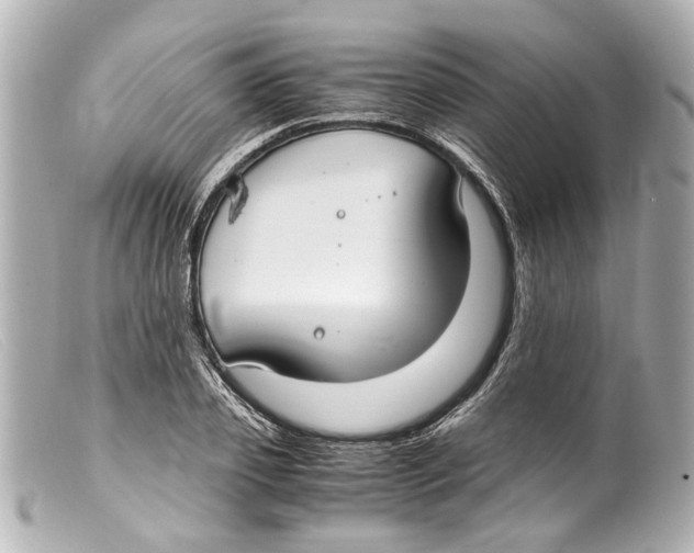 X0000099400933200805291207