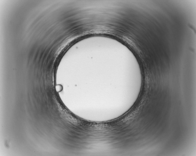 X0000099400934200805291207