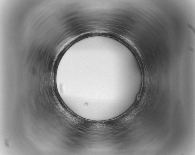 X0000099400935200805291207