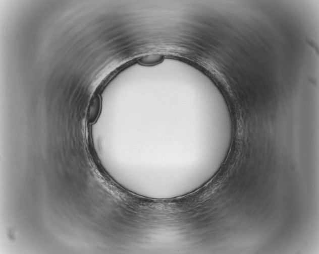 X0000099400936200805291207