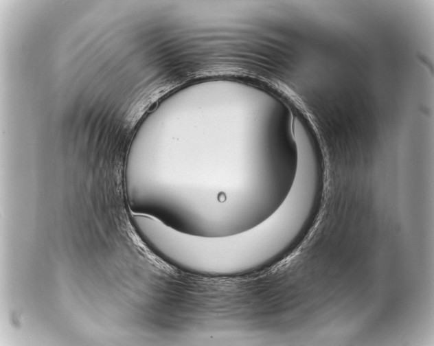 X0000099400937200805291207