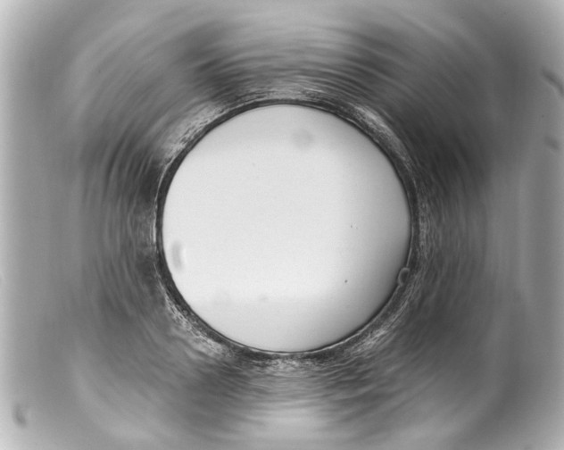 X0000099400938200805291207