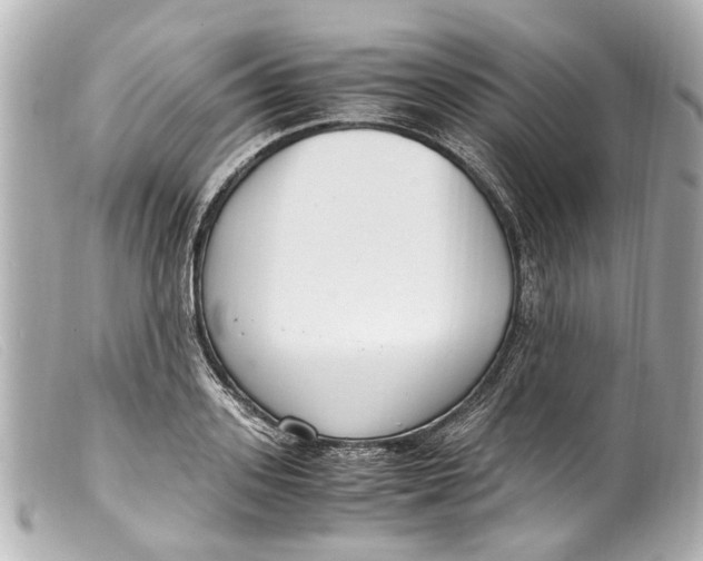 X0000099400939200805291207