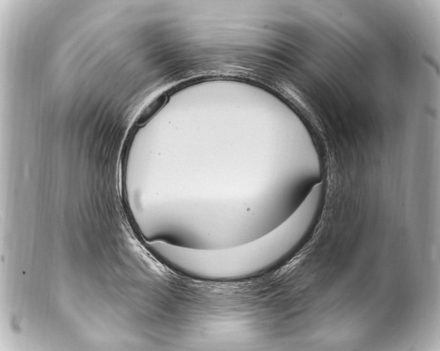 X0000099400940200805291207