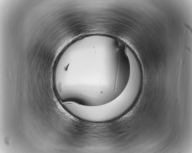 X0000099400941200805291207