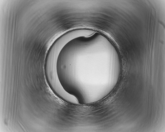 X0000099400943200805291207